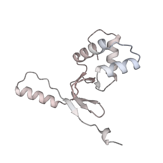 33033_7x76_N_v1-1
Cryo-EM structure of Streptomyces coelicolor RNAP-promoter open complex with two Zur dimers