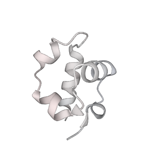 33033_7x76_S_v1-1
Cryo-EM structure of Streptomyces coelicolor RNAP-promoter open complex with two Zur dimers