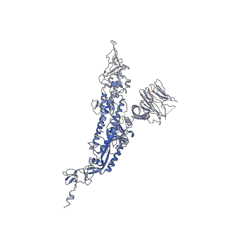 33042_7x7n_A_v1-1
3D model of the 3-RBD up single trimeric spike protein of SARS-CoV2 in the presence of synthetic peptide SIH-5.