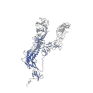 33042_7x7n_B_v1-1
3D model of the 3-RBD up single trimeric spike protein of SARS-CoV2 in the presence of synthetic peptide SIH-5.