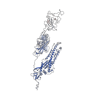 33042_7x7n_C_v1-1
3D model of the 3-RBD up single trimeric spike protein of SARS-CoV2 in the presence of synthetic peptide SIH-5.