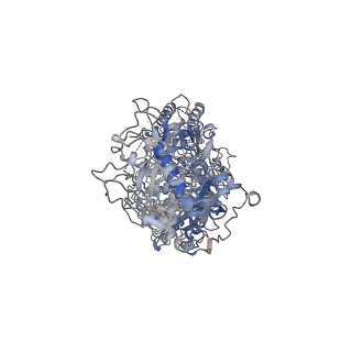 33046_7x7r_A_v1-1
Cryo-EM structure of a bacterial protein