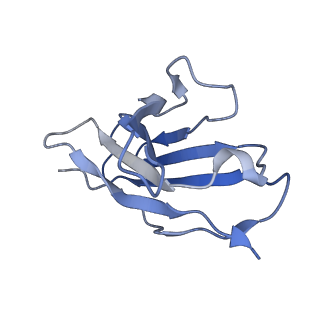 33047_7x7t_B_v1-1
Cryo-EM structure of SARS-CoV-2 spike protein in complex with three nAbs X01, X10 and X17