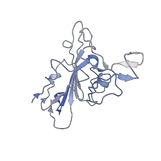 33047_7x7t_G_v1-1
Cryo-EM structure of SARS-CoV-2 spike protein in complex with three nAbs X01, X10 and X17