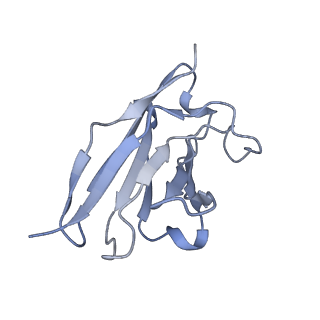 33047_7x7t_H_v1-1
Cryo-EM structure of SARS-CoV-2 spike protein in complex with three nAbs X01, X10 and X17