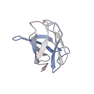 33047_7x7t_L_v1-1
Cryo-EM structure of SARS-CoV-2 spike protein in complex with three nAbs X01, X10 and X17