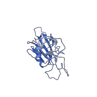 33048_7x7u_G_v1-1
Cryo-EM structure of SARS-CoV-2 Delta variant spike protein in complex with three nAbs X01, X10 and X17