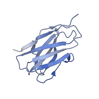 33049_7x7v_H_v1-1
Cryo-EM structure of SARS-CoV spike protein in complex with three nAbs X01, X10 and X17
