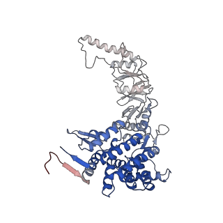 33053_7x7y_A_v1-1
Cryo-EM structure of Human TRiC-ATP-open state