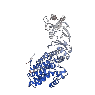 33053_7x7y_B_v1-1
Cryo-EM structure of Human TRiC-ATP-open state