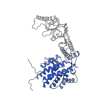 33053_7x7y_D_v1-1
Cryo-EM structure of Human TRiC-ATP-open state