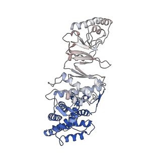 33053_7x7y_E_v1-1
Cryo-EM structure of Human TRiC-ATP-open state