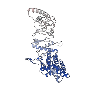 33053_7x7y_G_v1-1
Cryo-EM structure of Human TRiC-ATP-open state