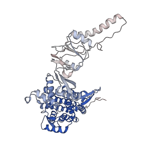 33053_7x7y_H_v1-1
Cryo-EM structure of Human TRiC-ATP-open state