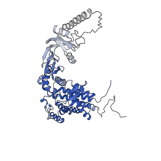33053_7x7y_Q_v1-1
Cryo-EM structure of Human TRiC-ATP-open state