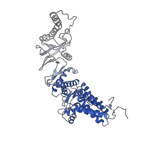 33053_7x7y_Z_v1-1
Cryo-EM structure of Human TRiC-ATP-open state