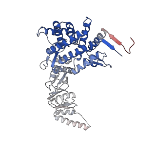 33053_7x7y_a_v1-1
Cryo-EM structure of Human TRiC-ATP-open state