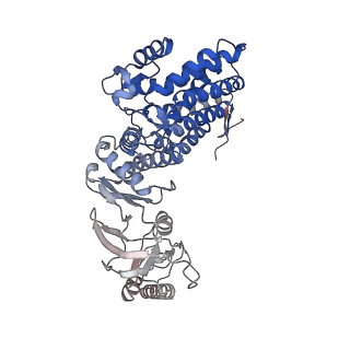 33053_7x7y_b_v1-1
Cryo-EM structure of Human TRiC-ATP-open state