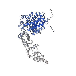 33053_7x7y_d_v1-1
Cryo-EM structure of Human TRiC-ATP-open state