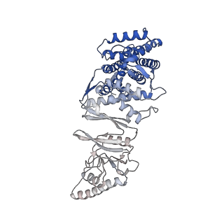 33053_7x7y_e_v1-1
Cryo-EM structure of Human TRiC-ATP-open state