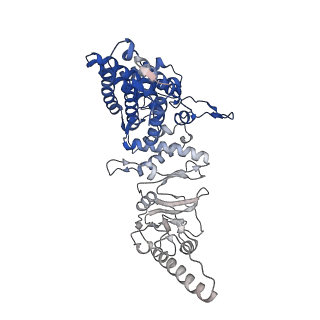 33053_7x7y_g_v1-1
Cryo-EM structure of Human TRiC-ATP-open state