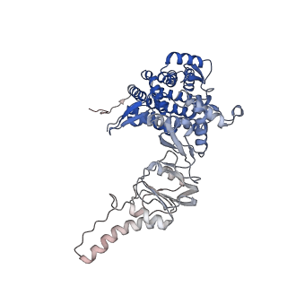 33053_7x7y_h_v1-1
Cryo-EM structure of Human TRiC-ATP-open state