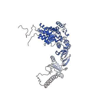 33053_7x7y_q_v1-1
Cryo-EM structure of Human TRiC-ATP-open state