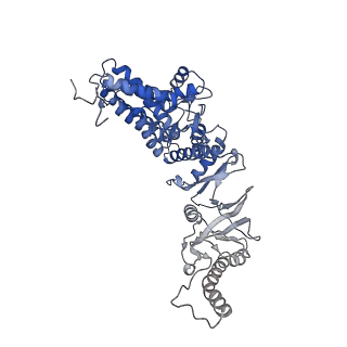 33053_7x7y_z_v1-1
Cryo-EM structure of Human TRiC-ATP-open state