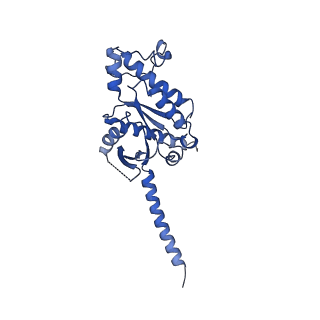 38096_8x7a_A_v1-0
Treprostinil bound Prostacyclin Receptor G protein complex