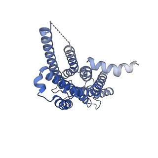 38096_8x7a_R_v1-0
Treprostinil bound Prostacyclin Receptor G protein complex