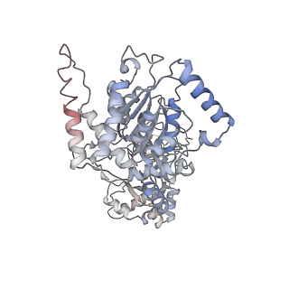 38111_8x7u_A_v1-0
MCM in complex with dsDNA in presence of ATP.