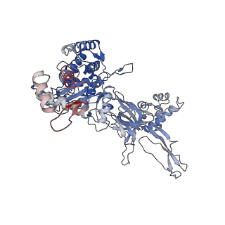 38111_8x7u_E_v1-0
MCM in complex with dsDNA in presence of ATP.