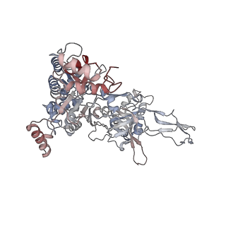 38111_8x7u_F_v1-0
MCM in complex with dsDNA in presence of ATP.