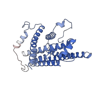 22090_6x89_1M_v1-0
Vigna radiata mitochondrial complex I*