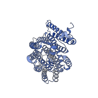 22090_6x89_2M_v1-0
Vigna radiata mitochondrial complex I*