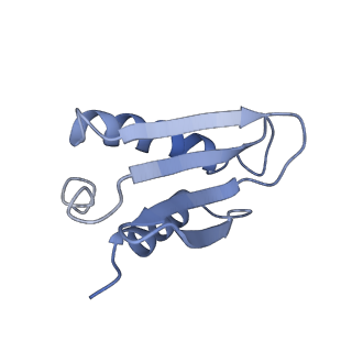 22090_6x89_A2_v1-0
Vigna radiata mitochondrial complex I*