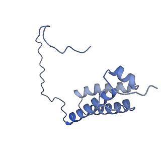 22090_6x89_A5_v1-0
Vigna radiata mitochondrial complex I*