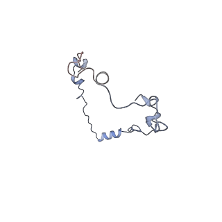 22090_6x89_A7_v1-0
Vigna radiata mitochondrial complex I*