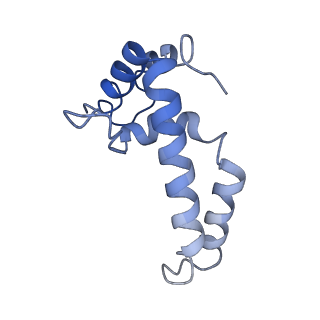 22090_6x89_A8_v1-0
Vigna radiata mitochondrial complex I*