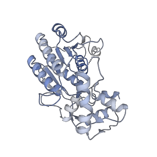 22090_6x89_A9_v1-0
Vigna radiata mitochondrial complex I*