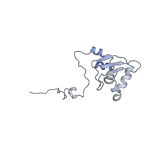 22090_6x89_AL_v1-0
Vigna radiata mitochondrial complex I*