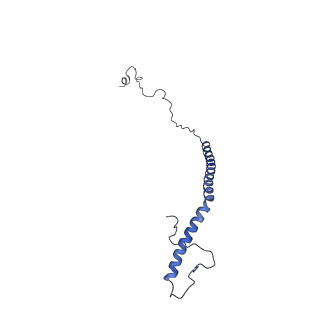 22090_6x89_AM_v1-0
Vigna radiata mitochondrial complex I*
