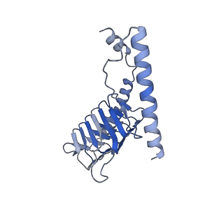 22090_6x89_G1_v1-0
Vigna radiata mitochondrial complex I*