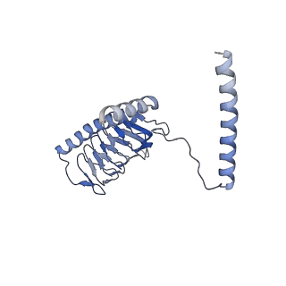 22090_6x89_G2_v1-0
Vigna radiata mitochondrial complex I*