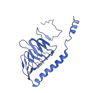 22090_6x89_L2_v1-0
Vigna radiata mitochondrial complex I*