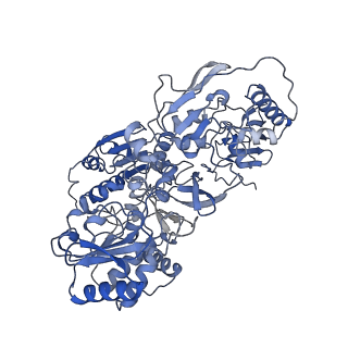 22090_6x89_S1_v1-0
Vigna radiata mitochondrial complex I*