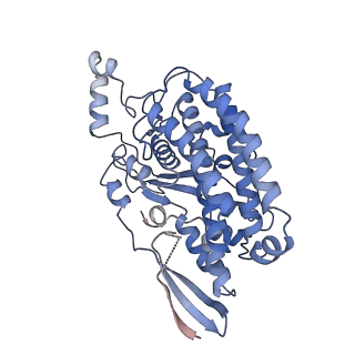 22090_6x89_S2_v1-0
Vigna radiata mitochondrial complex I*