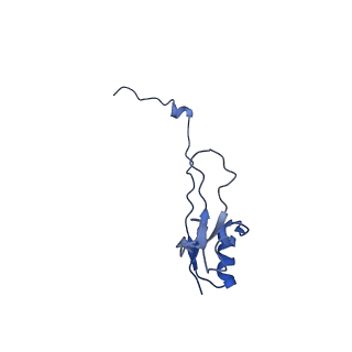 22090_6x89_S4_v1-0
Vigna radiata mitochondrial complex I*