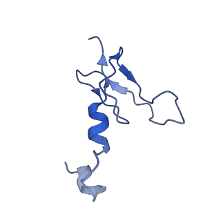 22090_6x89_S6_v1-0
Vigna radiata mitochondrial complex I*