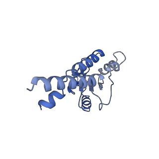22090_6x89_S7_v1-0
Vigna radiata mitochondrial complex I*